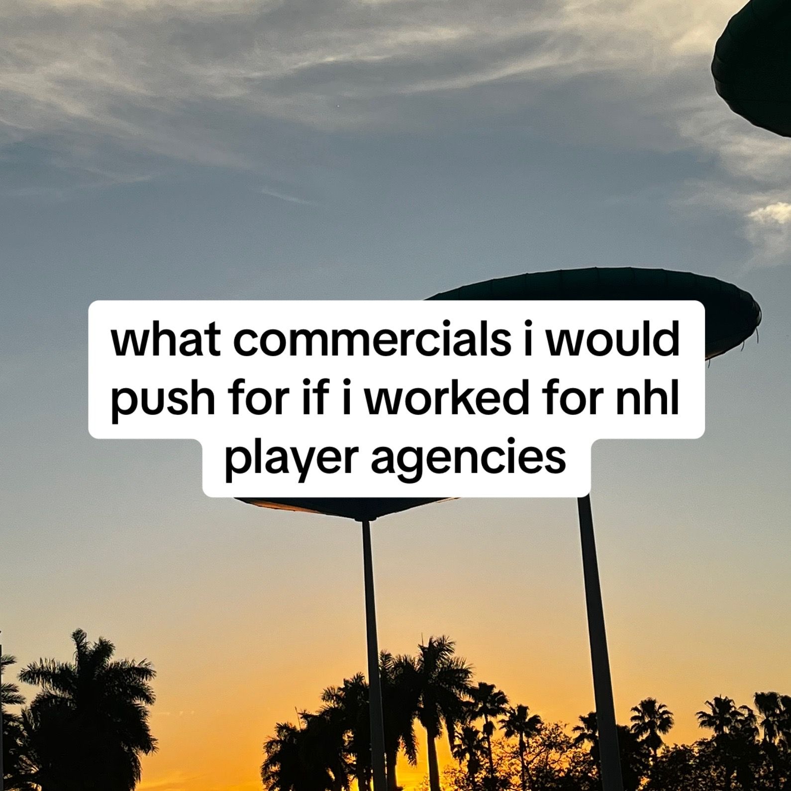 Image post by @slapshot.sarahh on TikTok