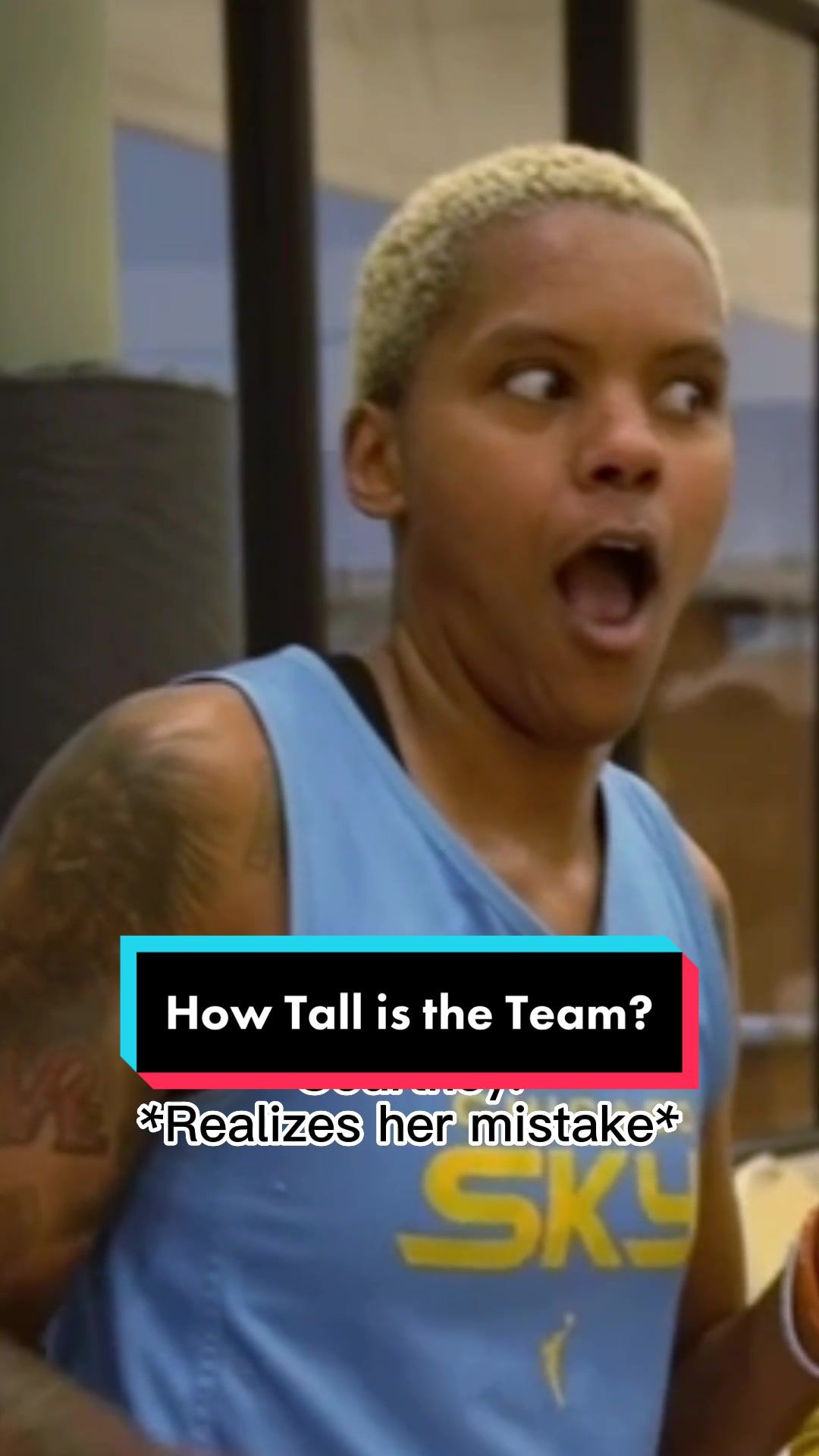 Video post by @chicagosky on TikTok