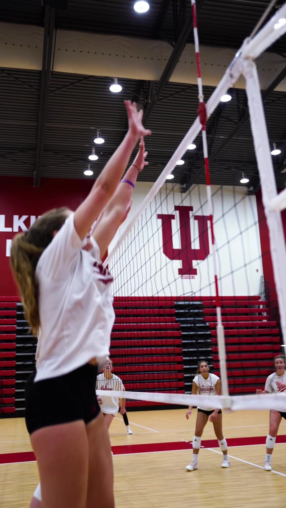 Video post by @indianavb on TikTok