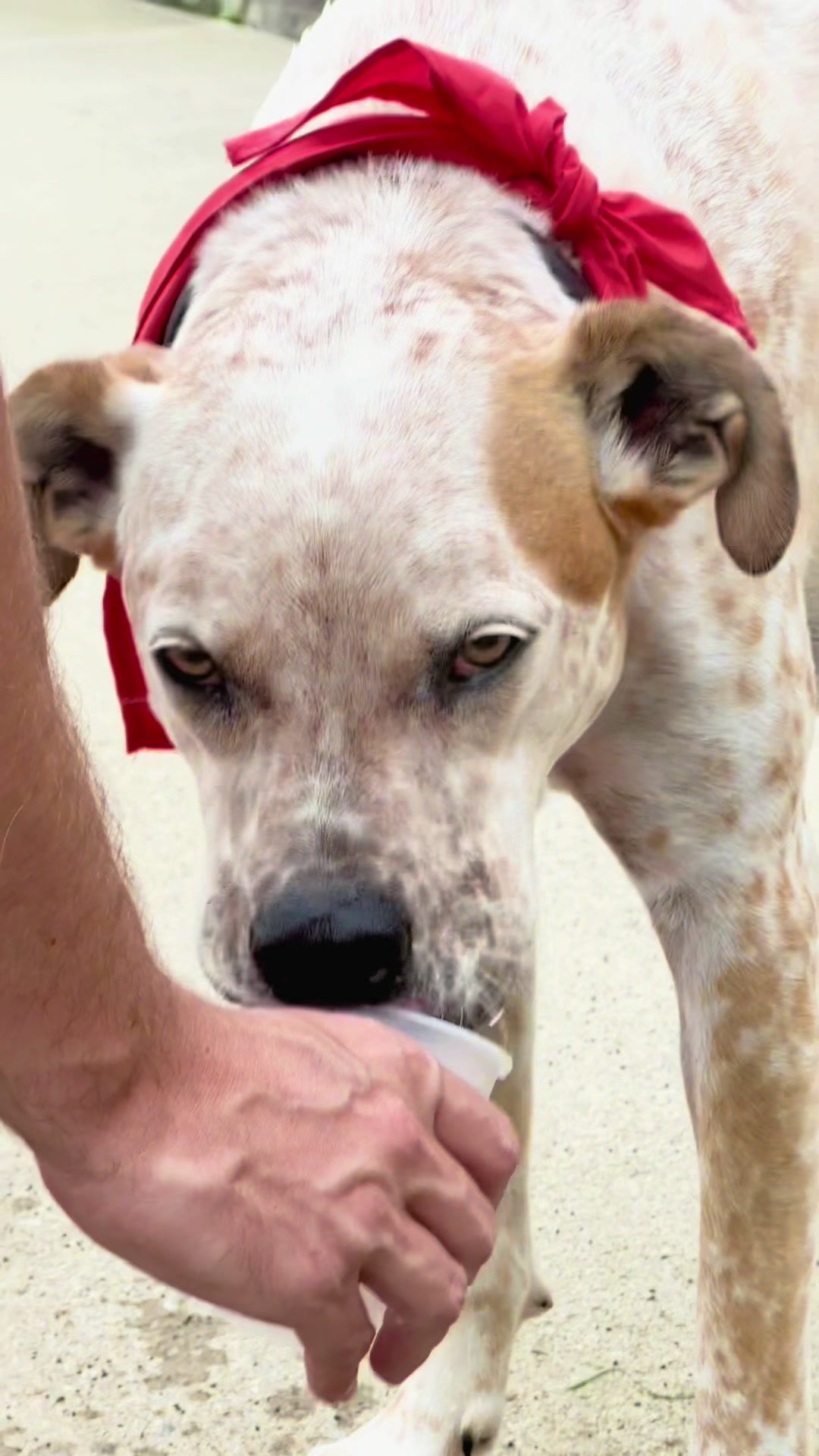 Video post by @marist on TikTok