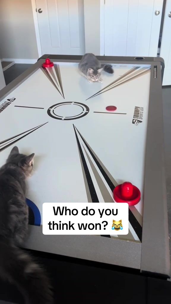 Video post by @espn on TikTok