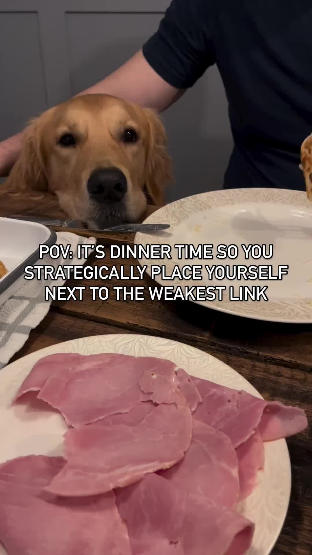 Video post by @bluebuffalo on TikTok