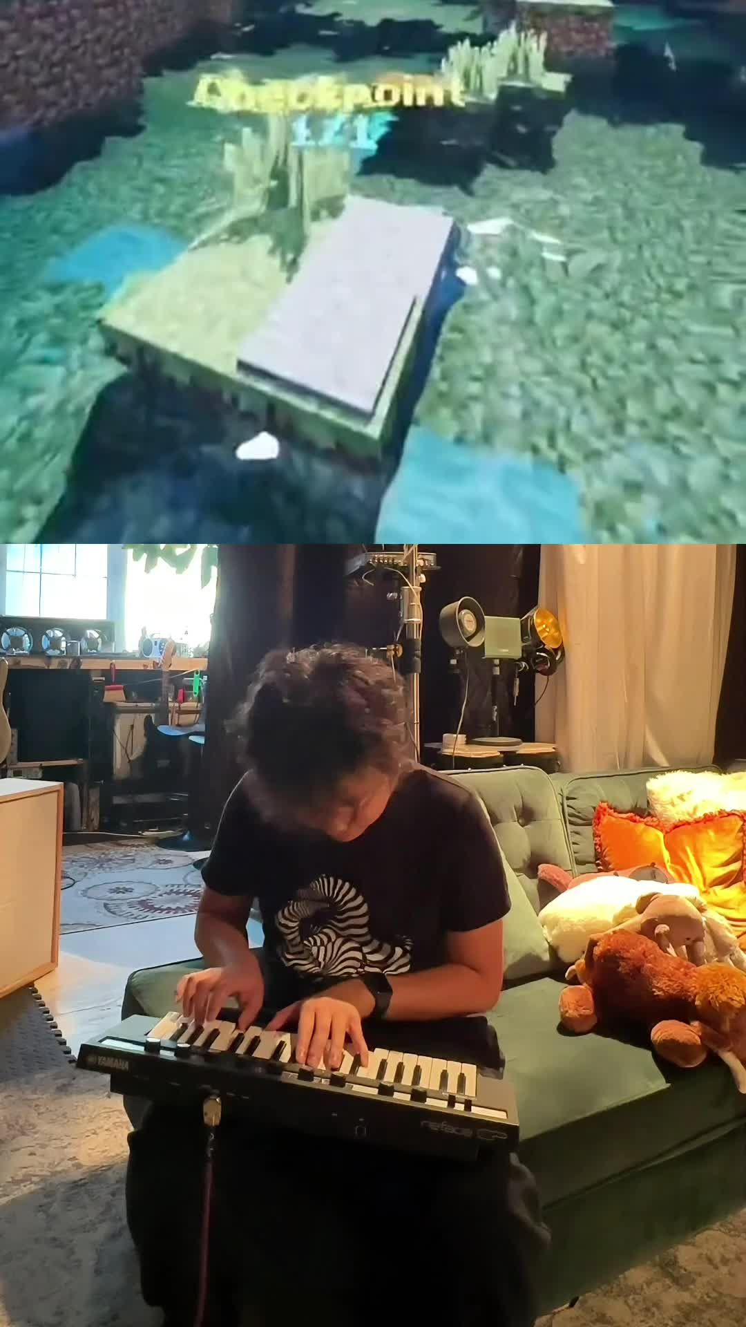 Video post by @zfromthealphabet on TikTok