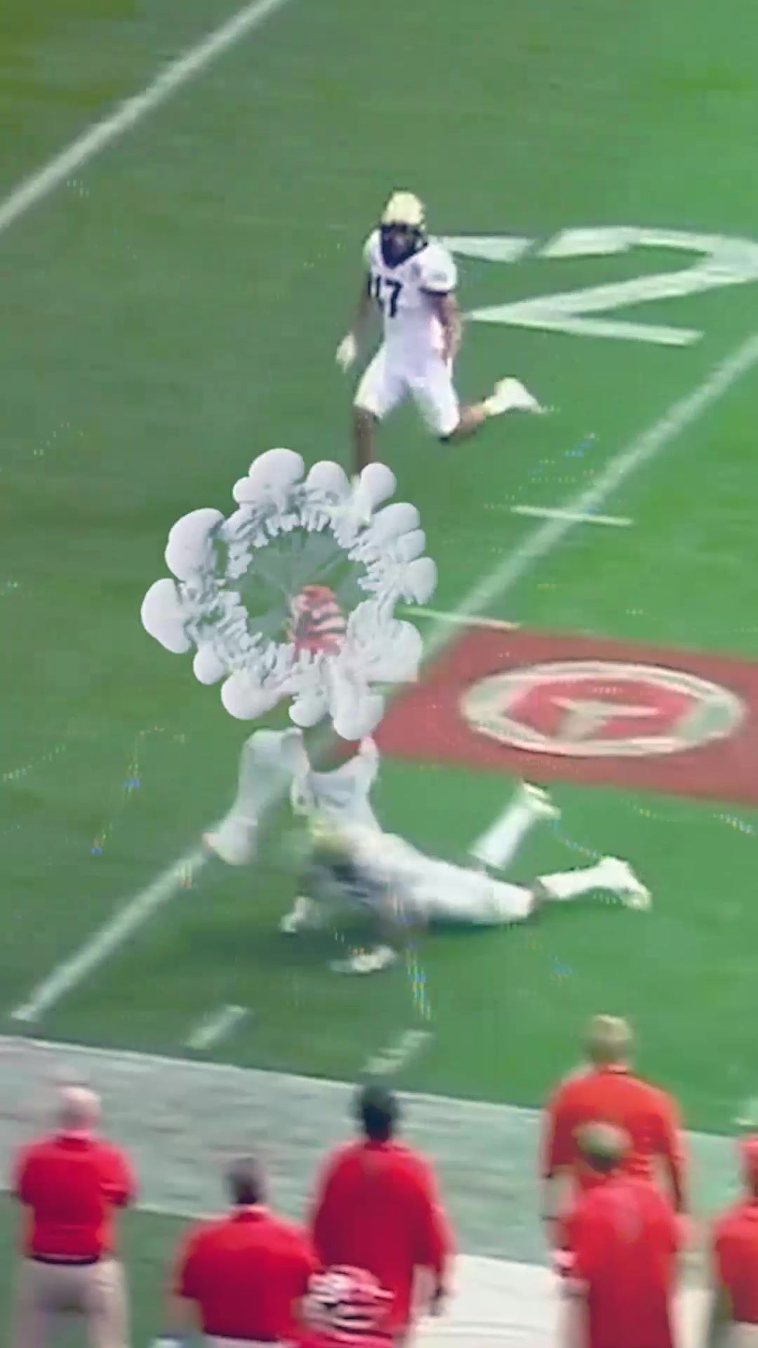 Video post by @rutgersfb on TikTok