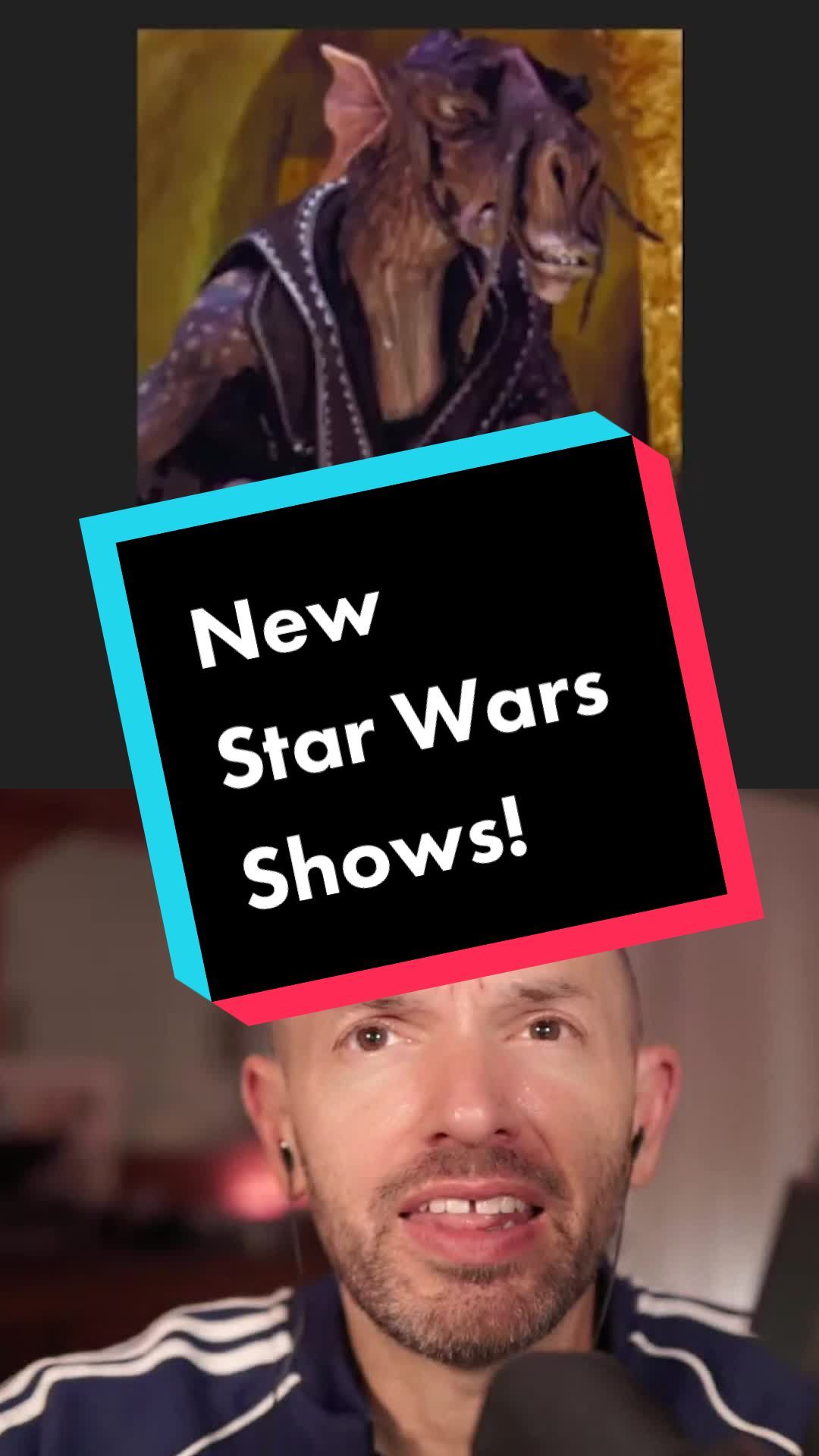 Video post by @paulscheer on TikTok