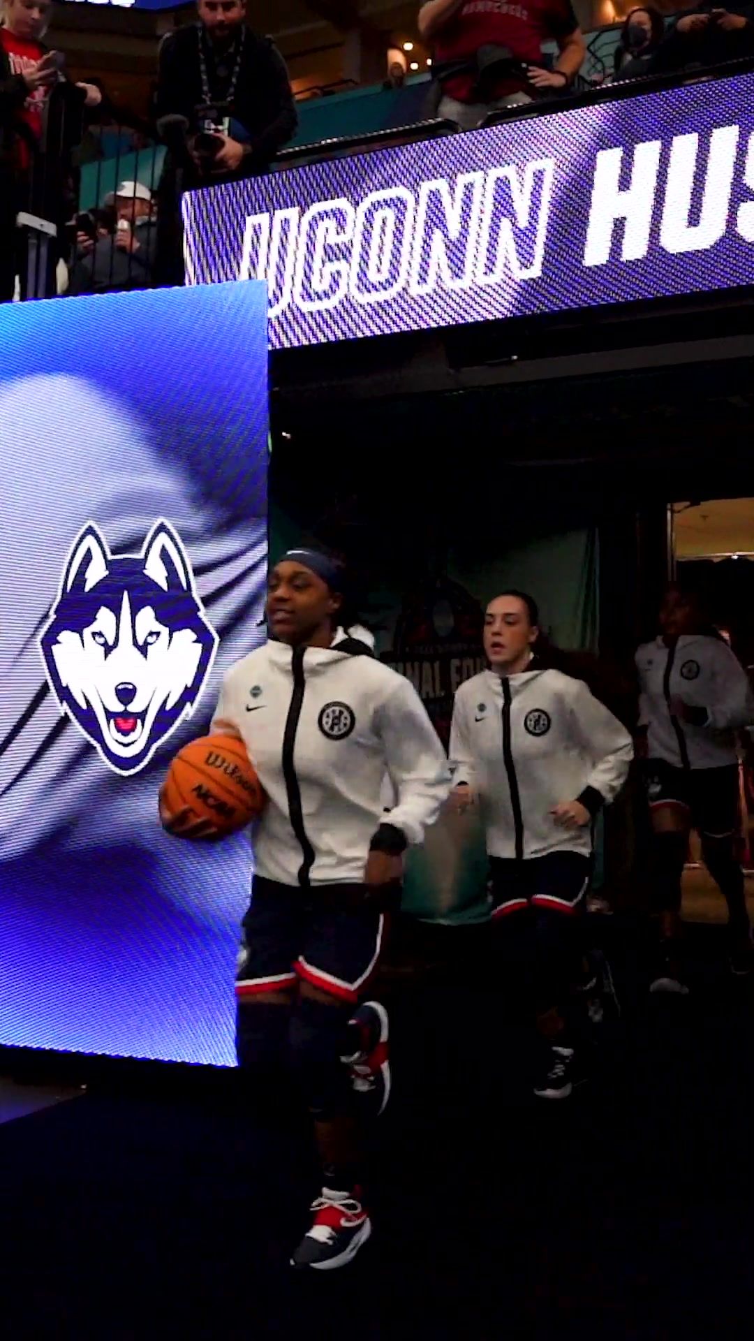 Video post by @marchmadnesswbb on TikTok