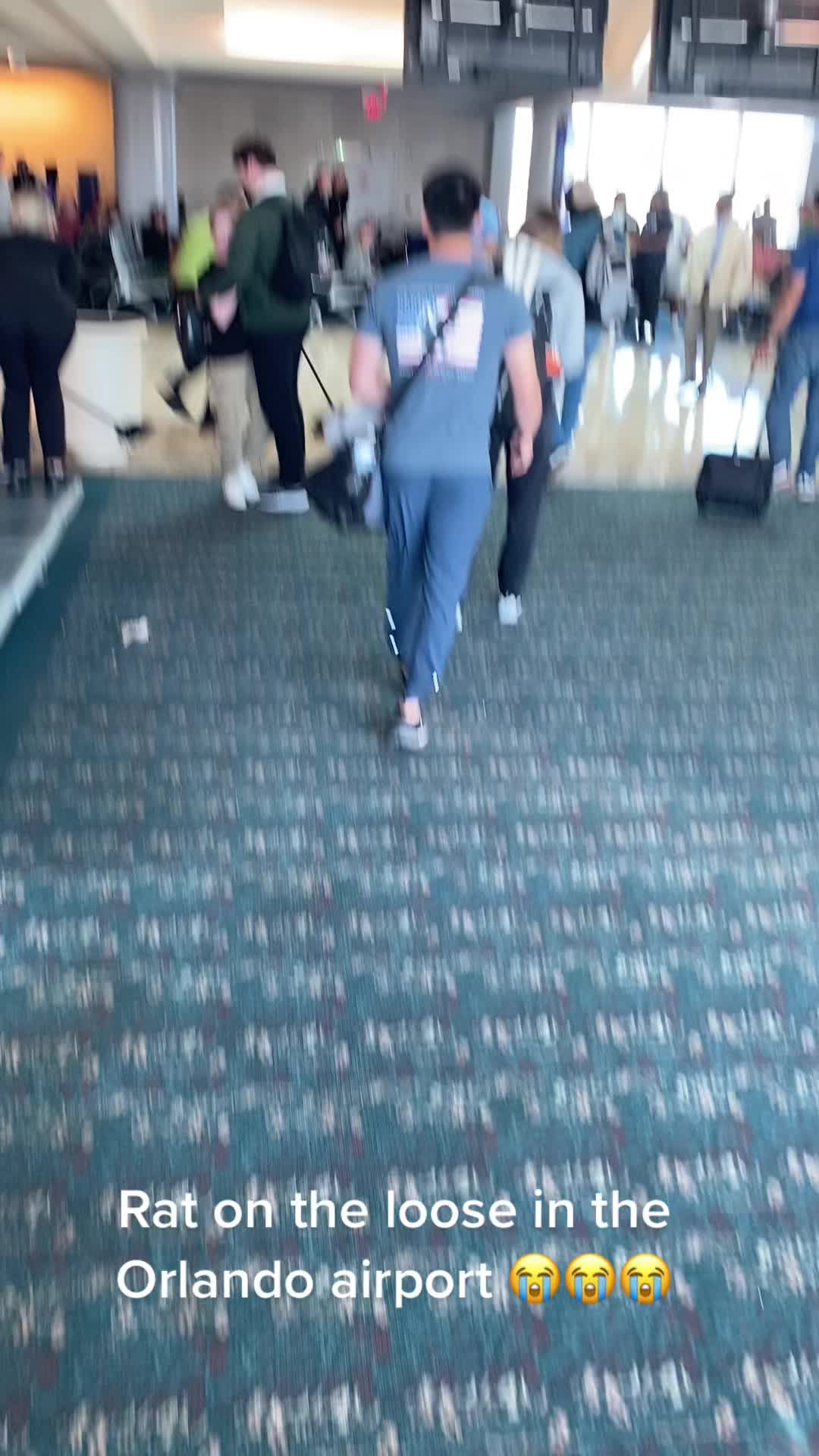 Video post by @nicolebaxter512 on TikTok