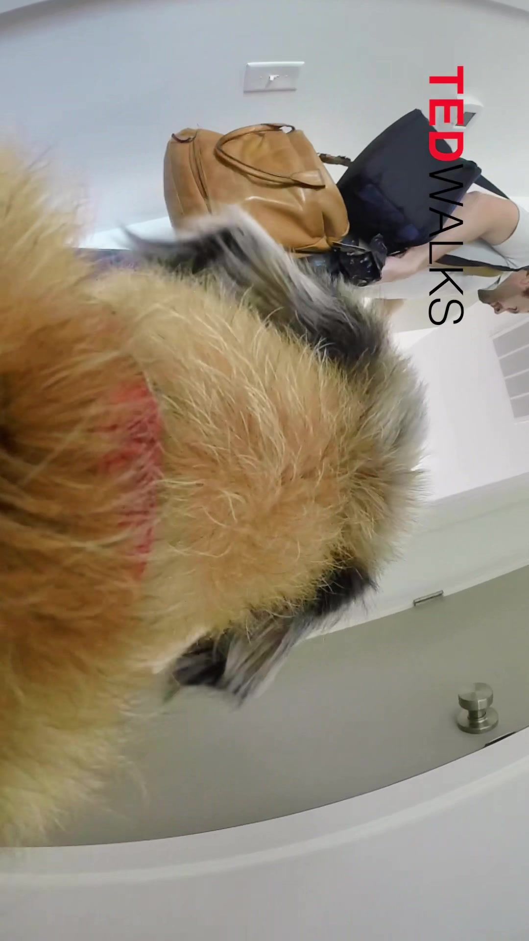 Video post by @joecunninghamsc on TikTok