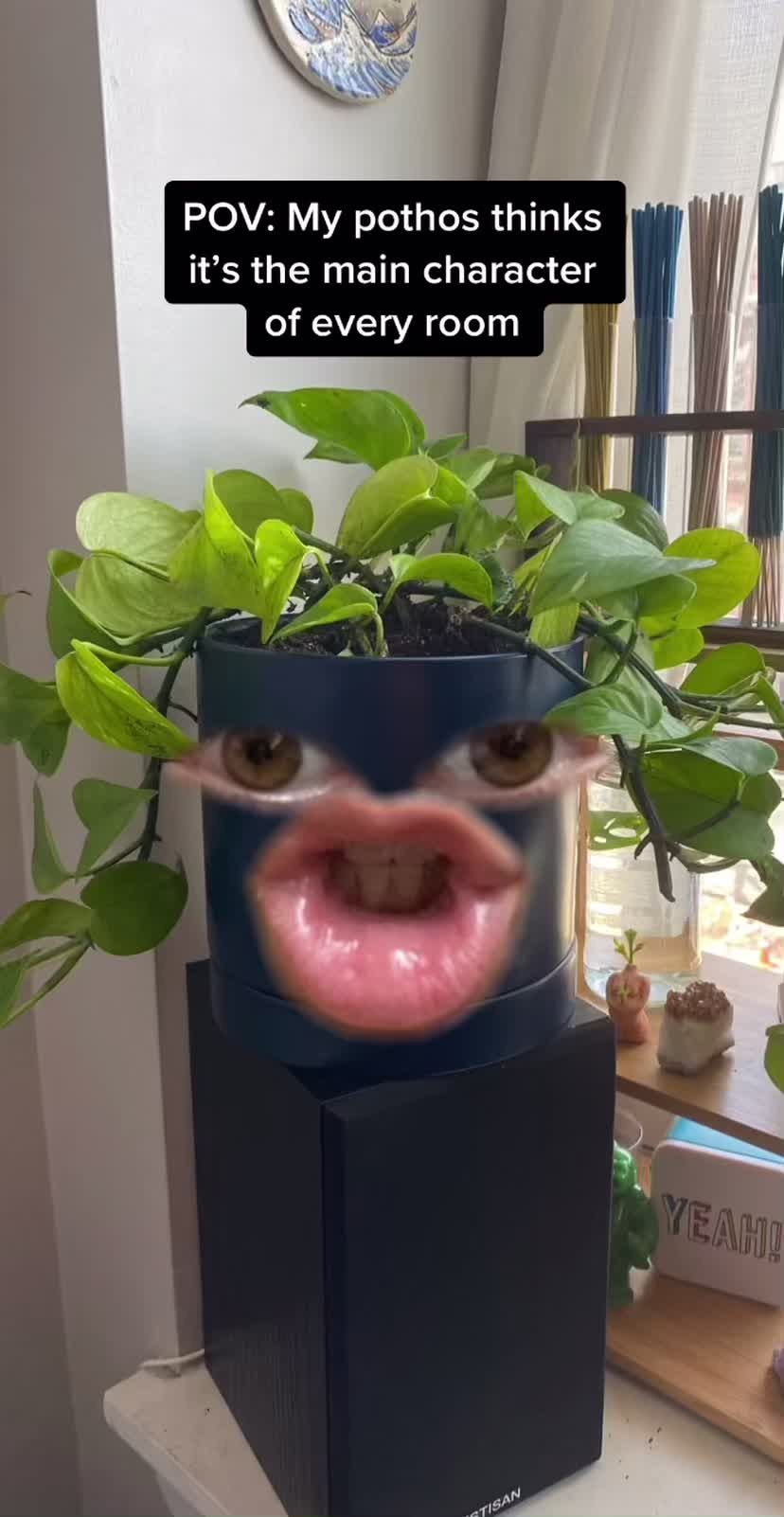 Video post by @shopgreendigs on TikTok