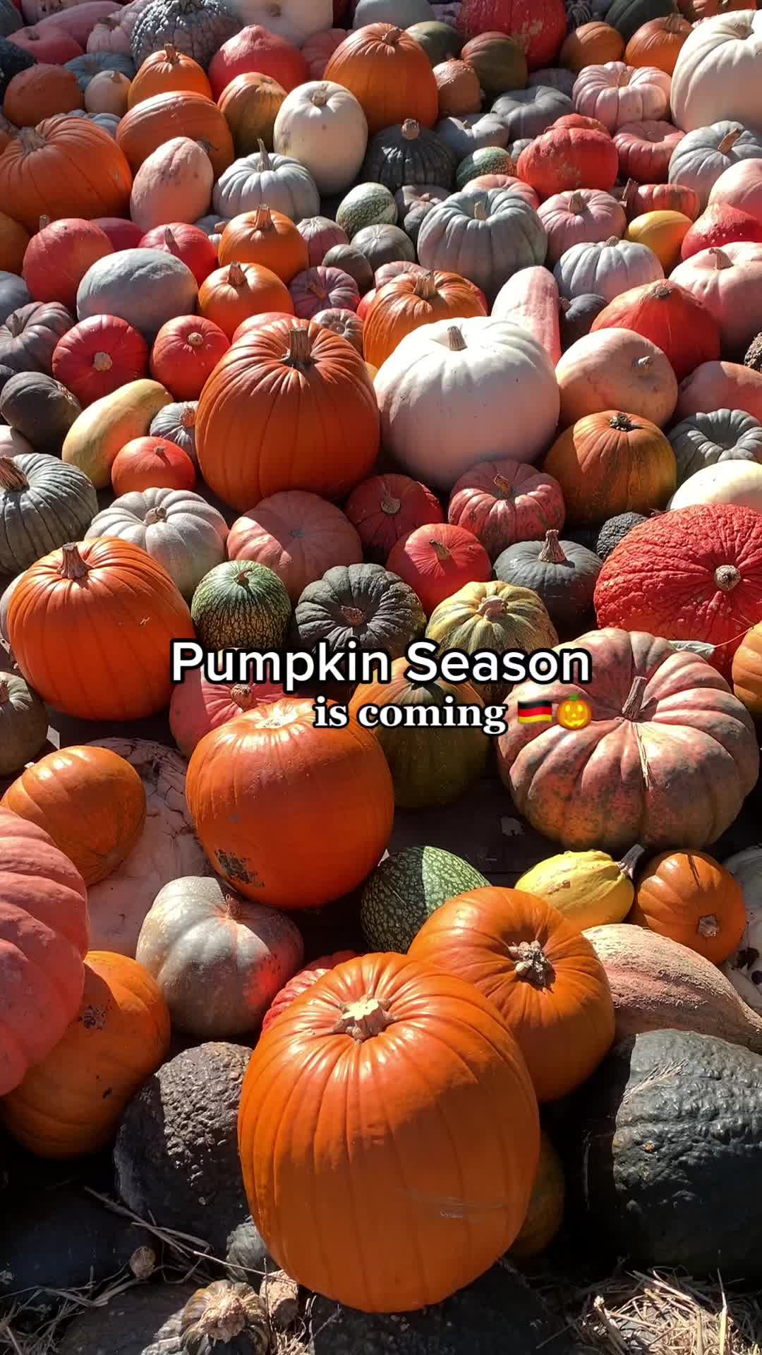 Video post by @mellyliveshere on TikTok