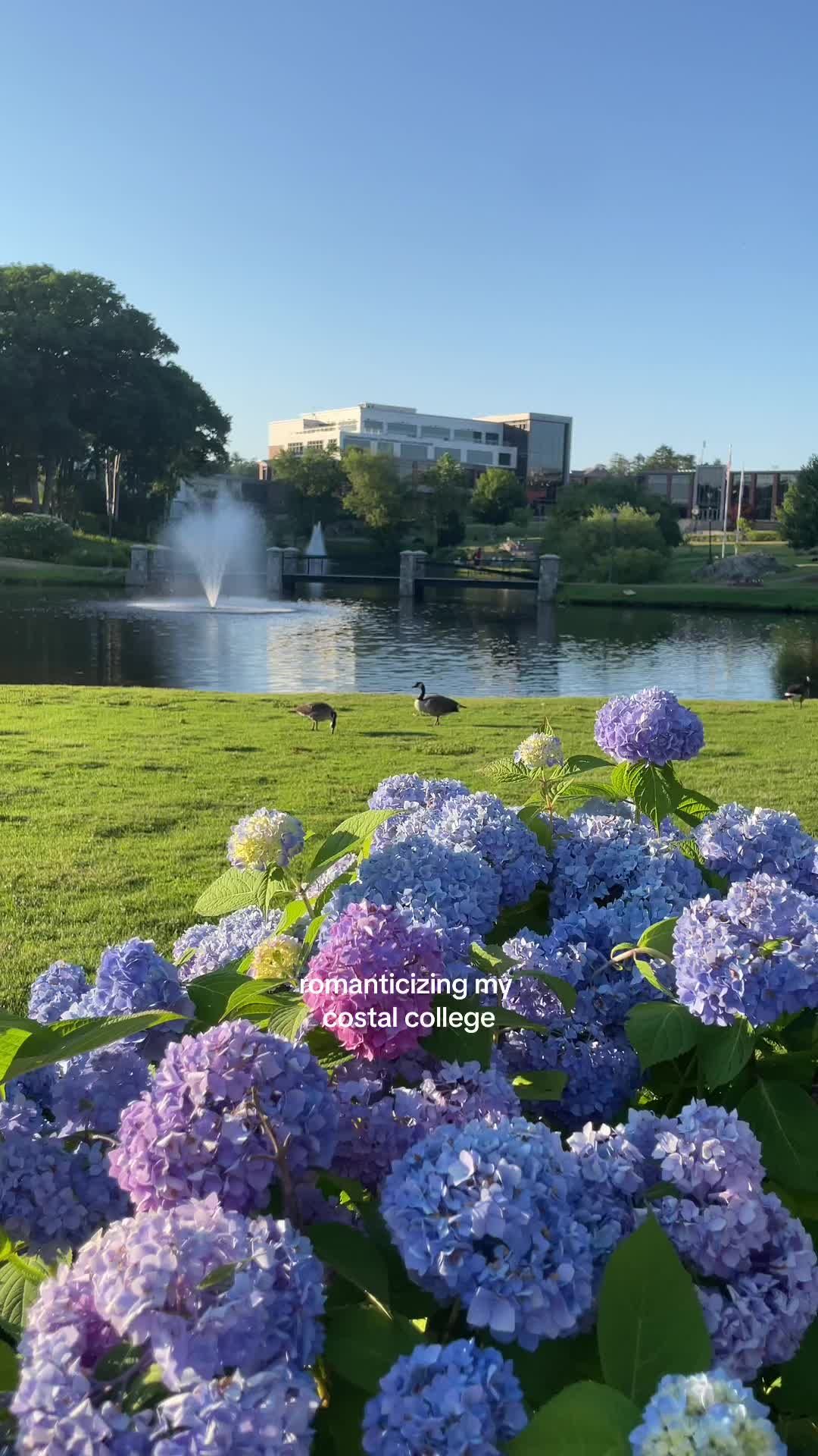 Video post by @mirandabalbino on TikTok