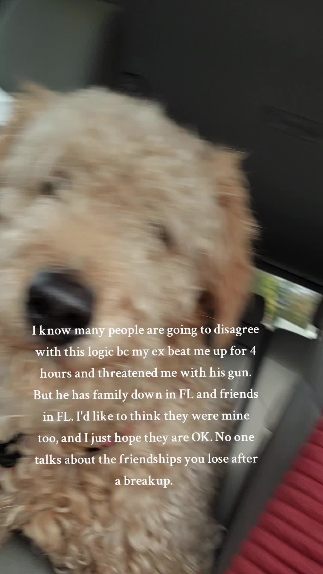 Video post by @bella__gabriela_ on TikTok