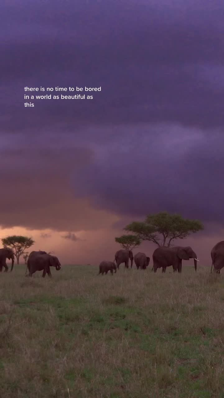 Video post by @annaburnsy on TikTok