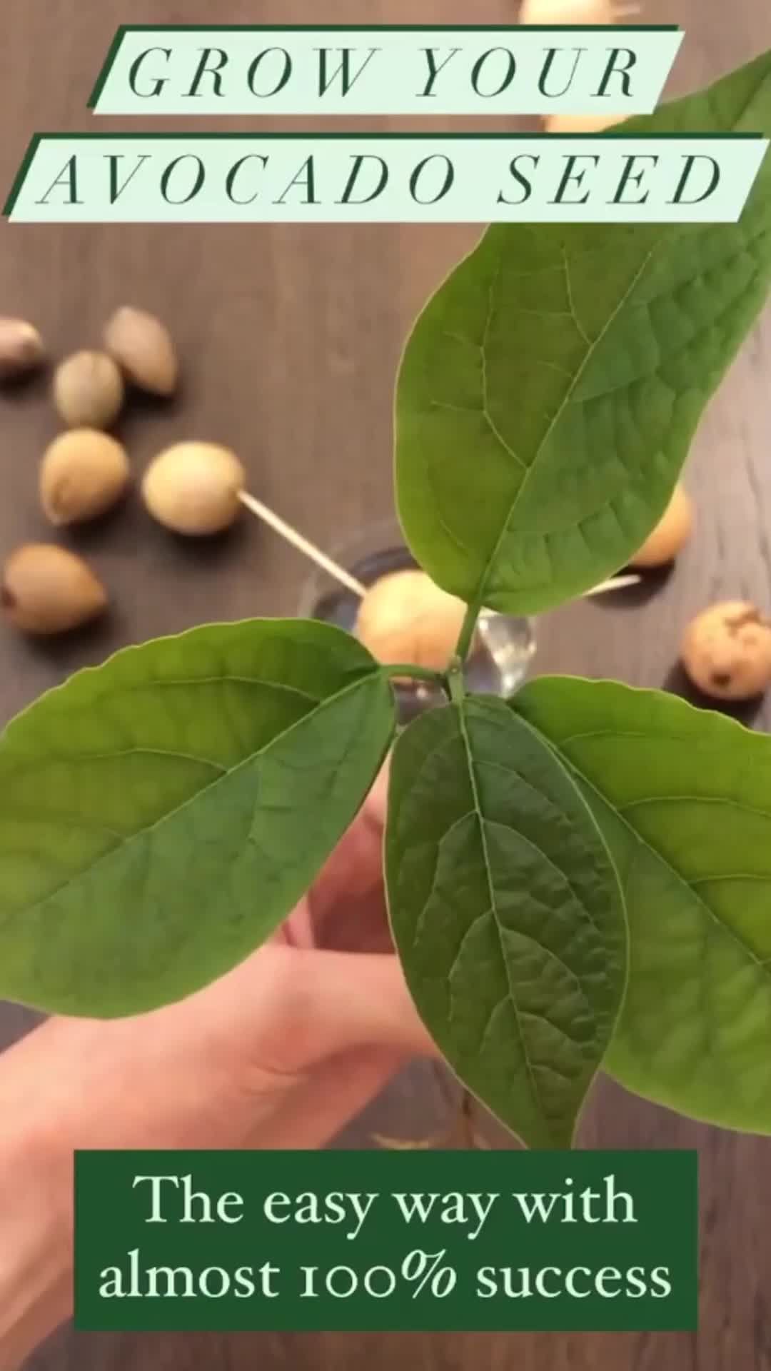 Video post by @tastyhome on TikTok