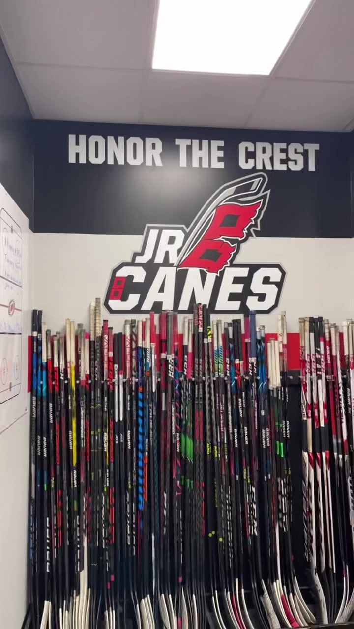 Video post by @jrcanesusphl on TikTok