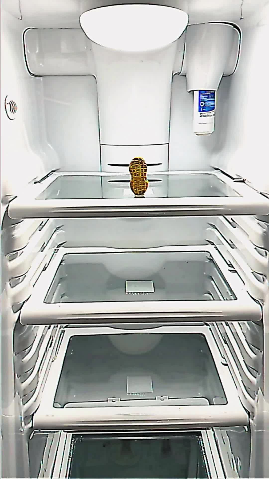 Video post by @officialnutterbutter on TikTok