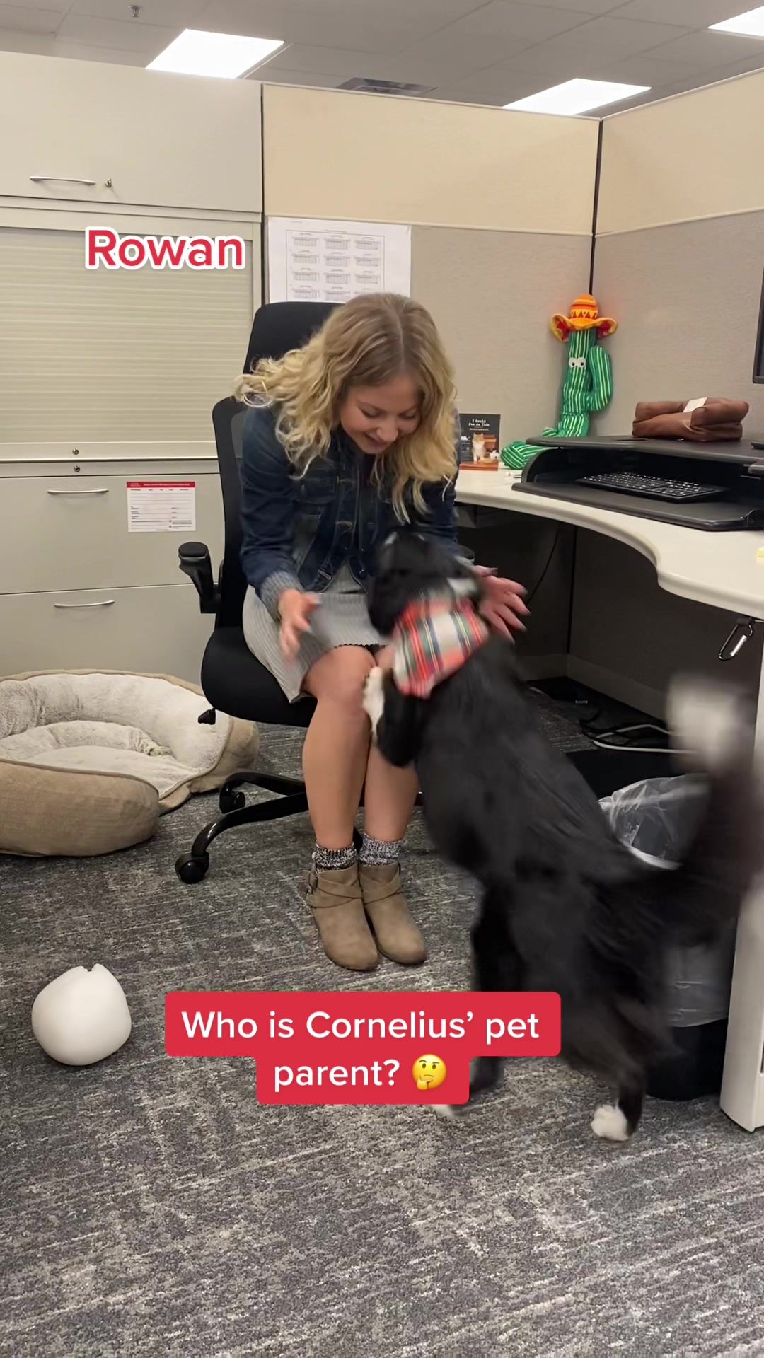 Video post by @petsmart on TikTok