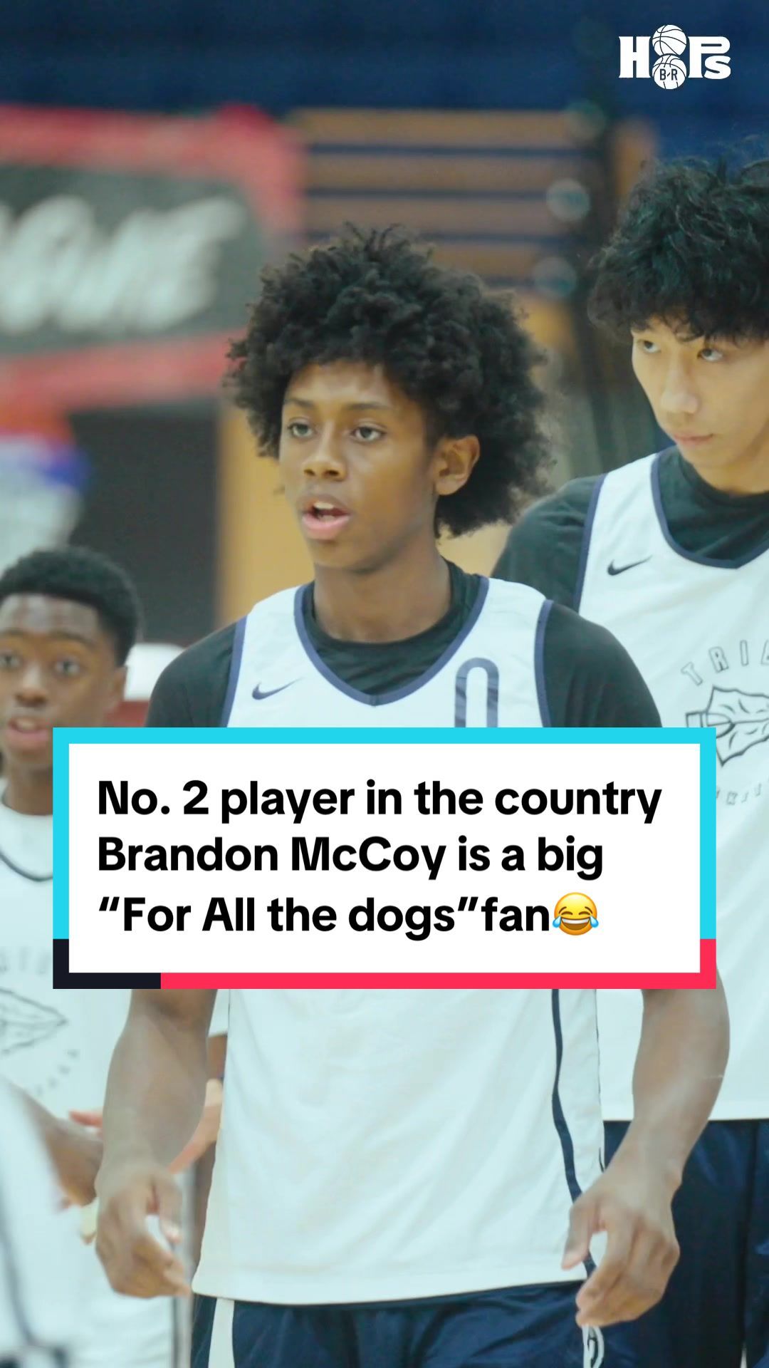 Video post by @brhoops on TikTok