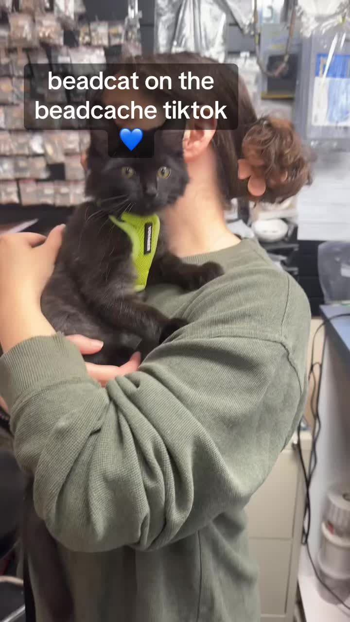 Video post by @beadcache on TikTok