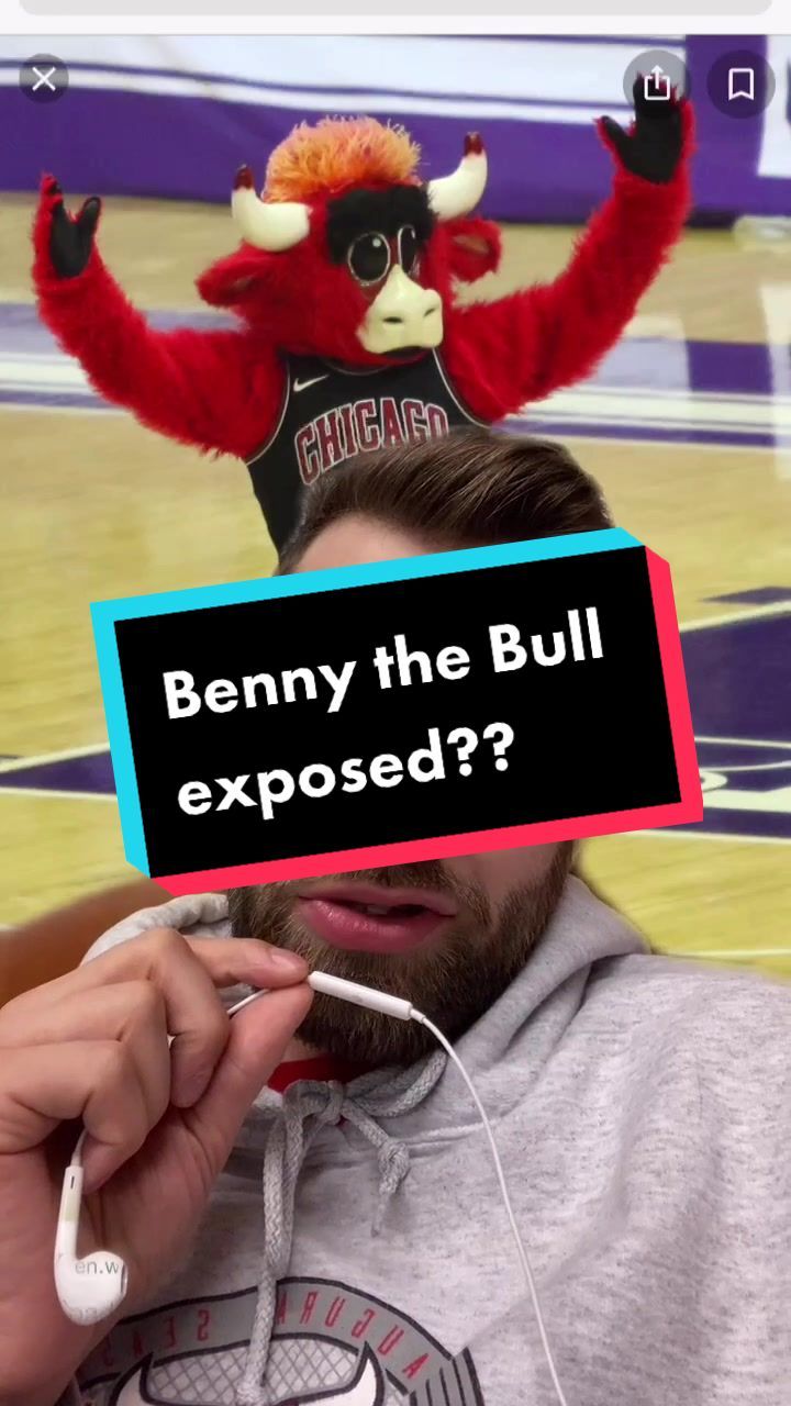 Video post by @bennythebull on TikTok