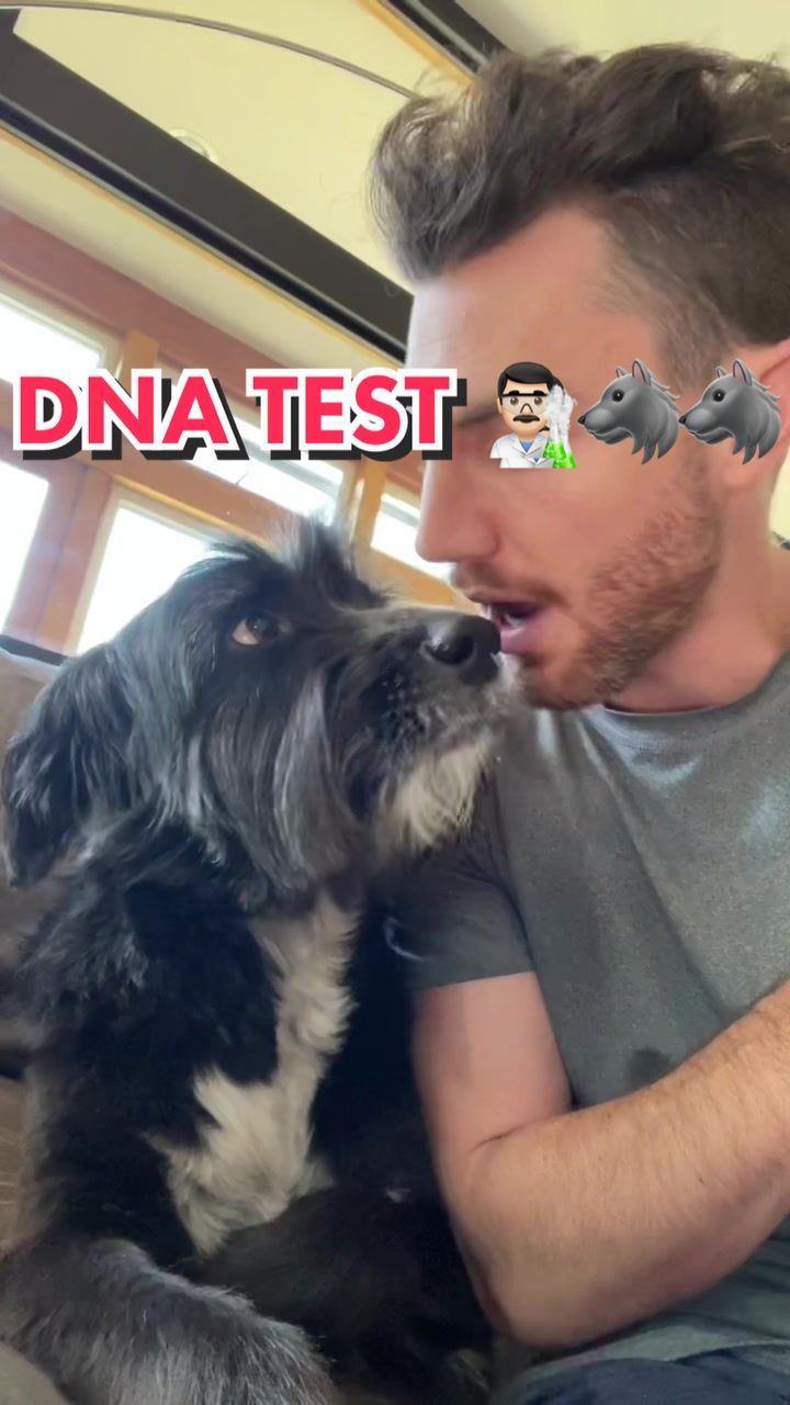 Video post by @jordankahana on TikTok