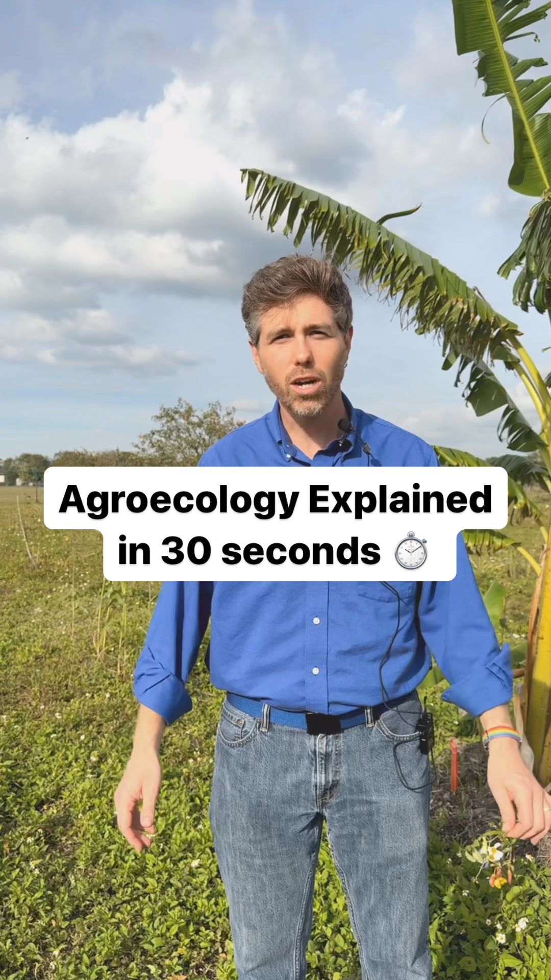 Video post by @UFIFASNews on Facebook