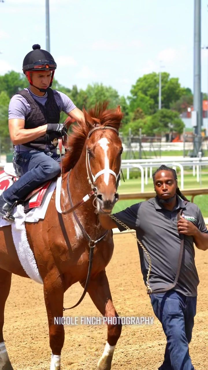 Video post by @nicole_finch on TikTok