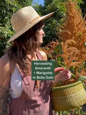 Video post by @laurenbadenhoop on TikTok