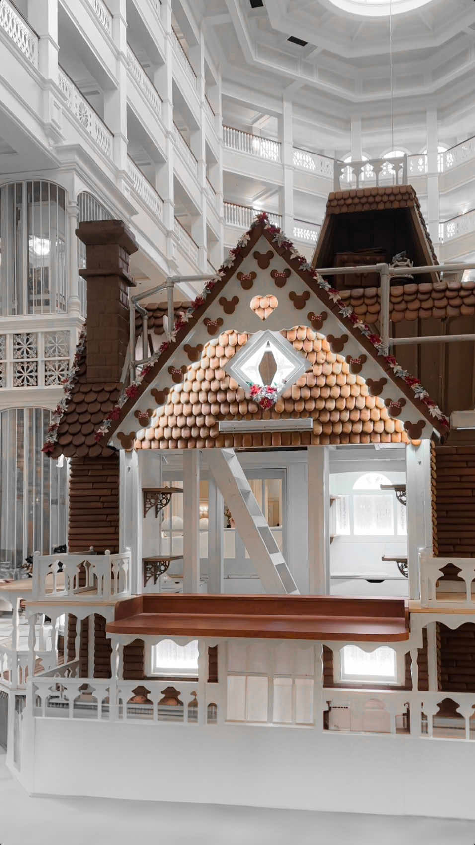 Video post by @lizaotovo on TikTok