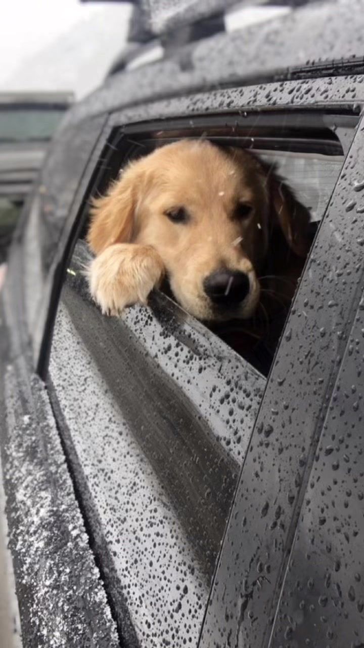 Video post by @freshtapemedia on TikTok