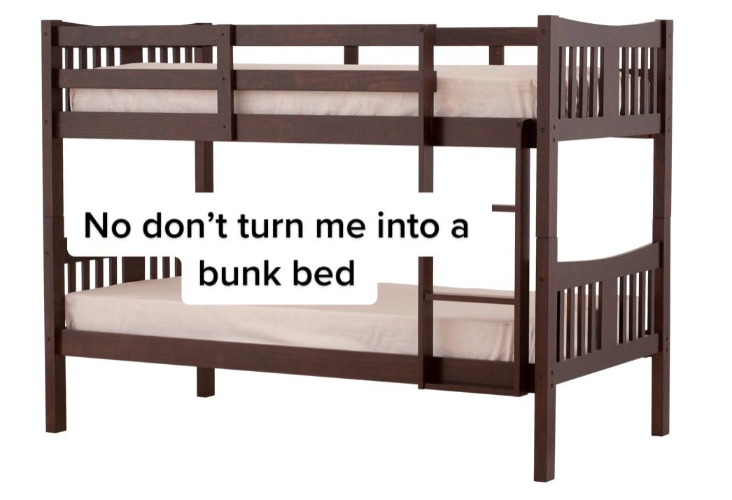 Video post by @wnmuathletics_ on TikTok