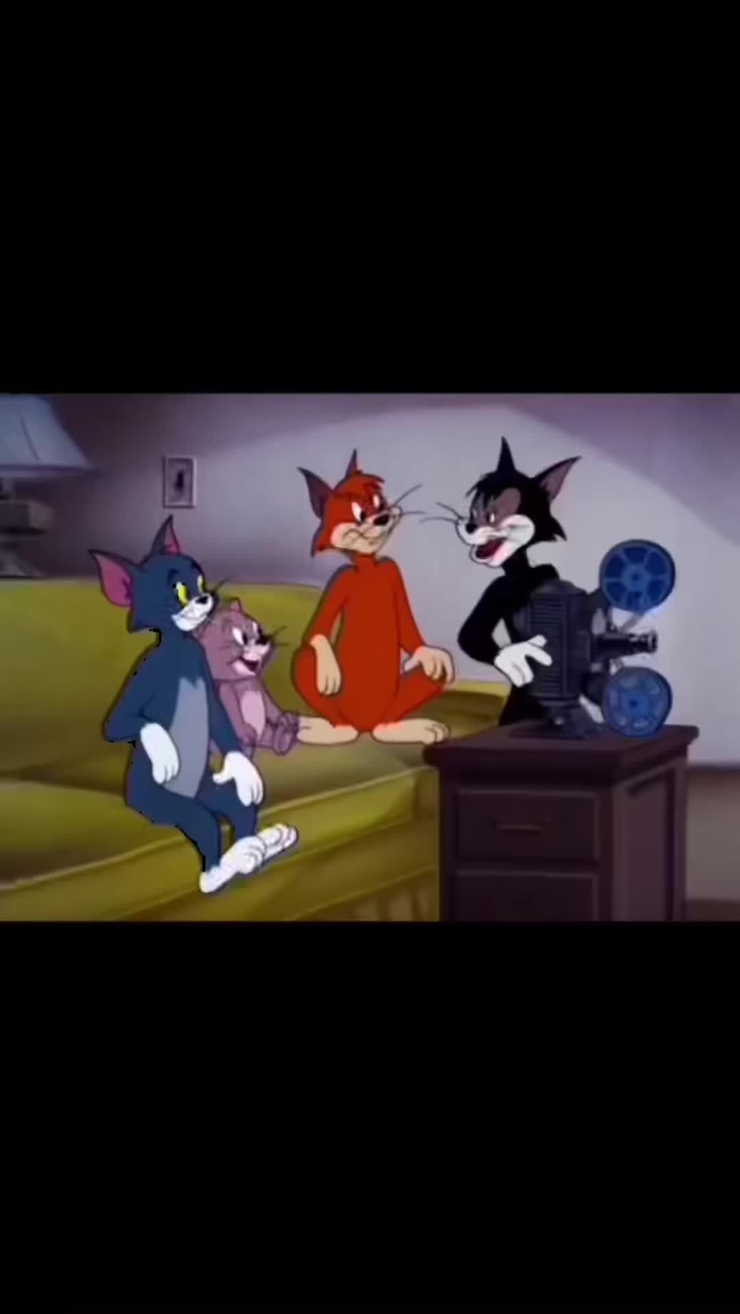 Video post by @wnmuathletics_ on TikTok