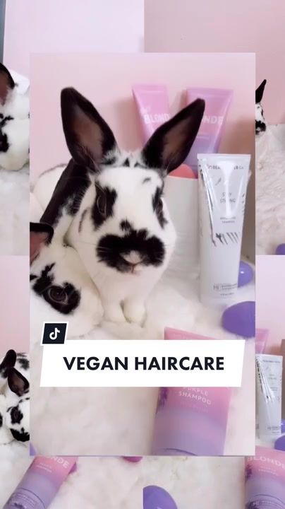 Video post by @thebeachwaver on TikTok