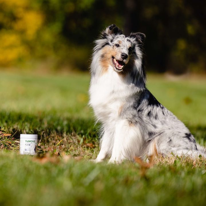 Image post by @YuMOVE.US on Facebook