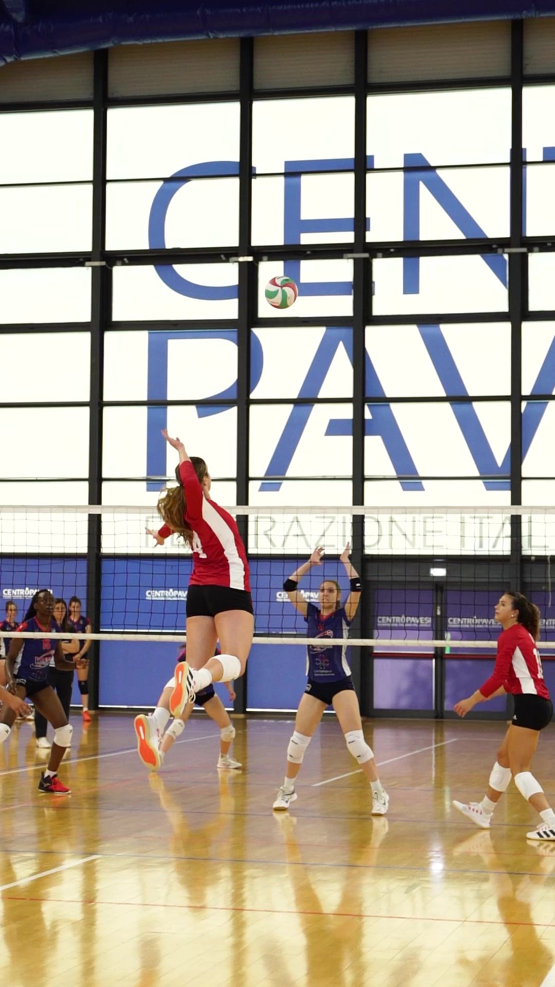 Video post by @indianavb on TikTok