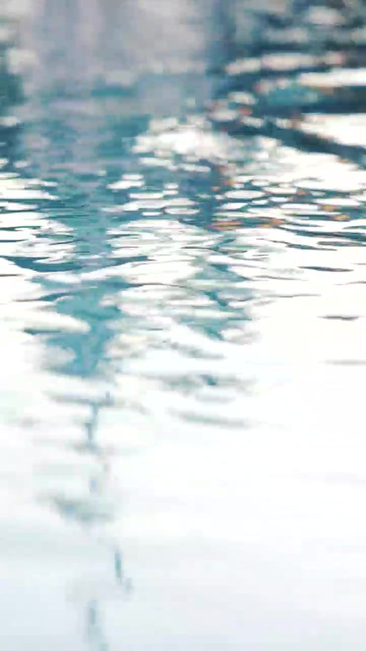 Video post by @sanjosestatefb on TikTok