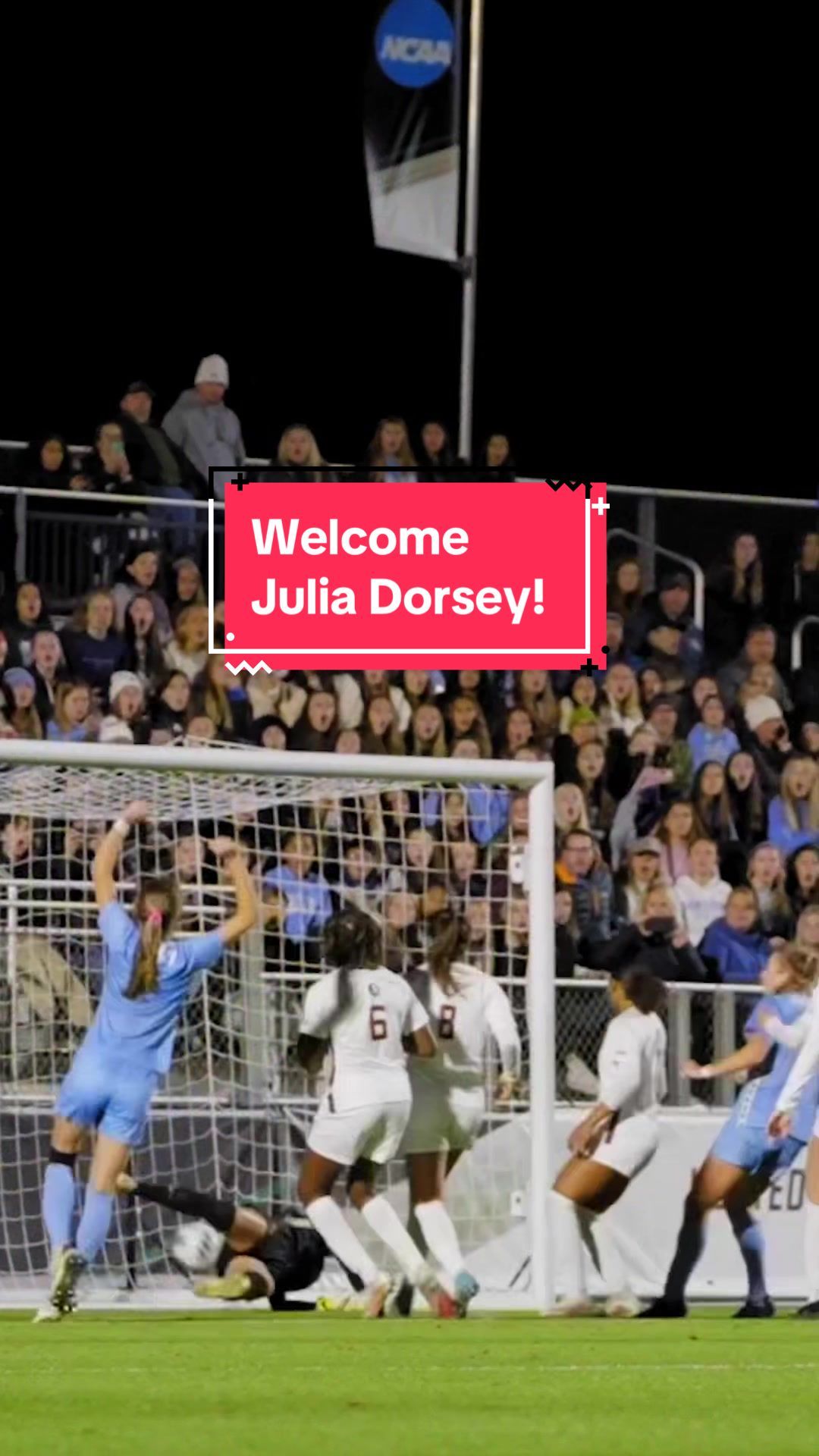 Video post by @thenccourage on TikTok