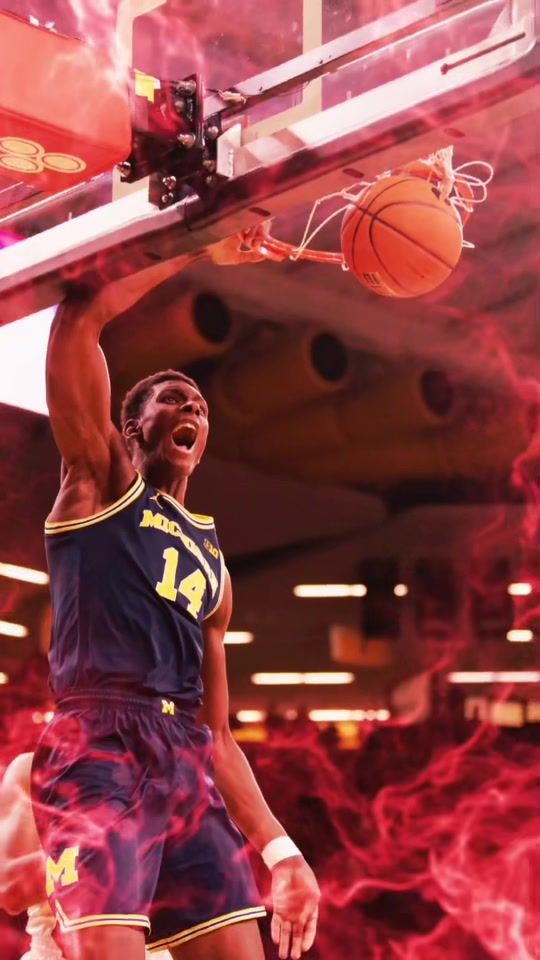 Video post by @themichigandaily on TikTok