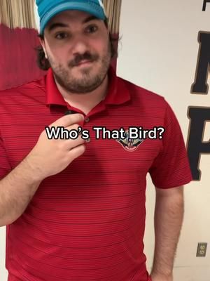 Video post by @relmyers on TikTok