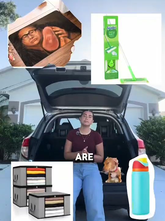 Video post by @leeuniversity on TikTok