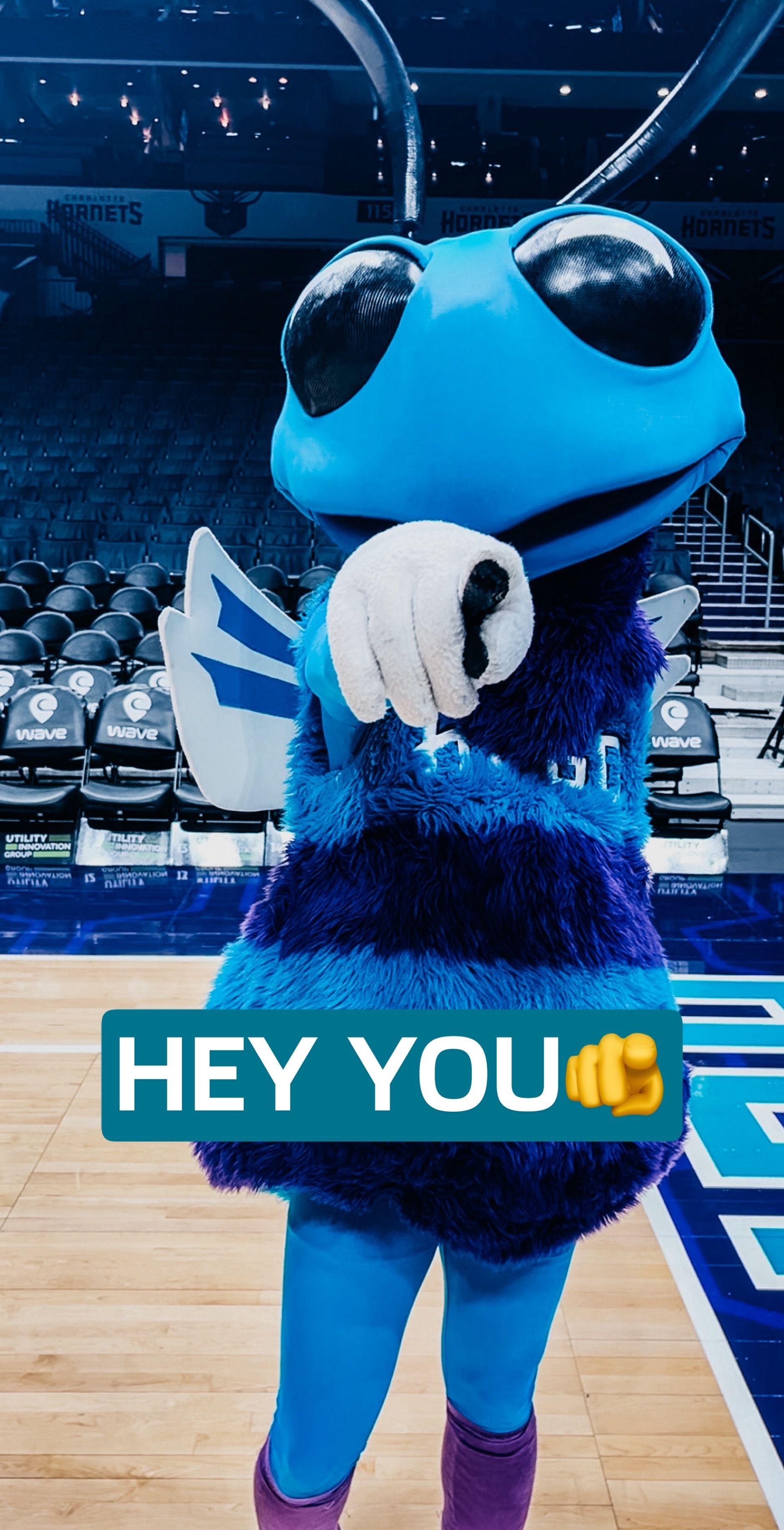 Image post by @hugothehornet on TikTok