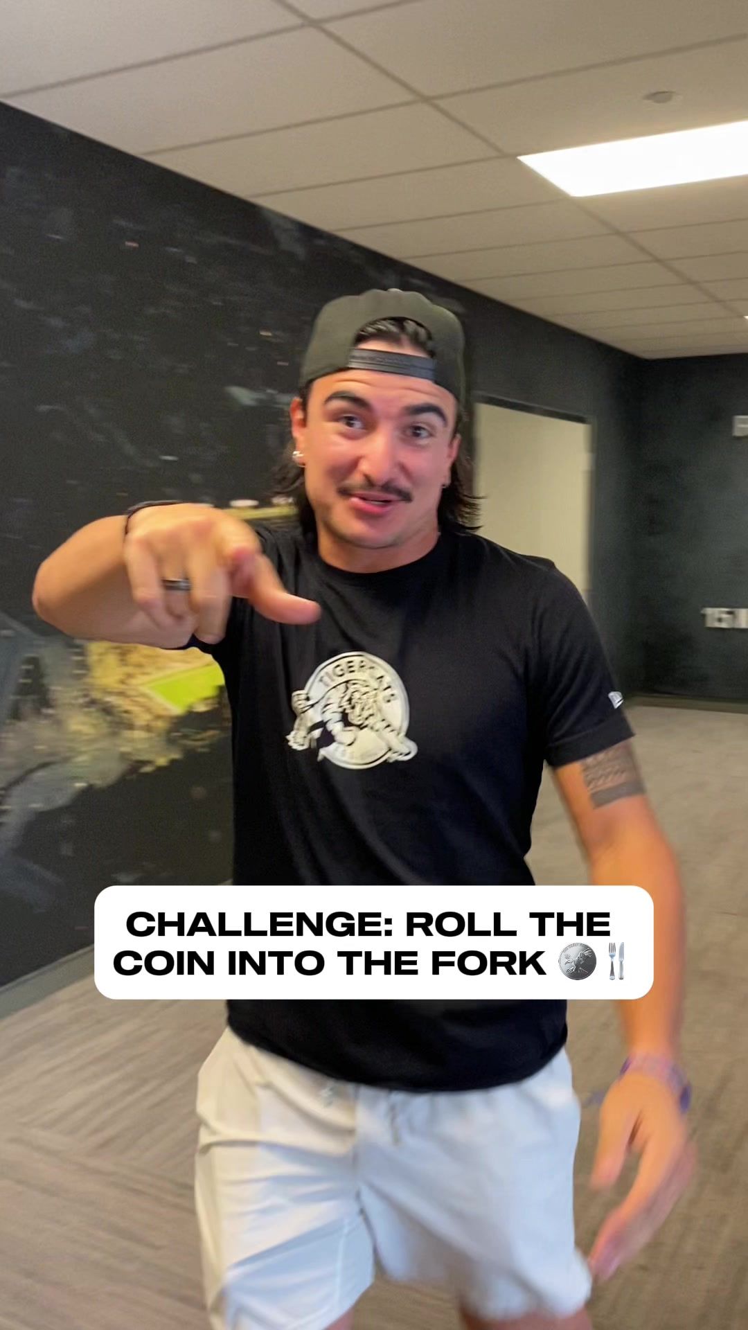 Video post by @hamiltonticats on TikTok