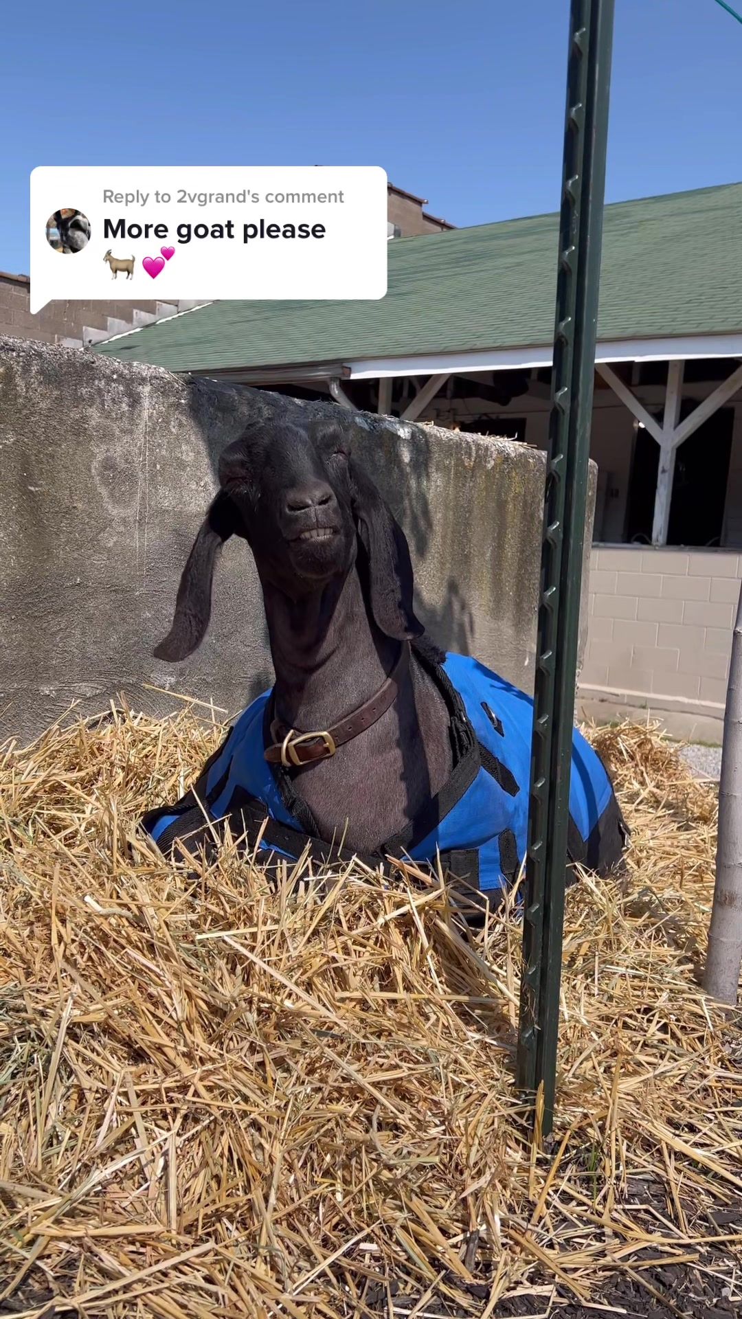 Video post by @kentuckyderby on TikTok