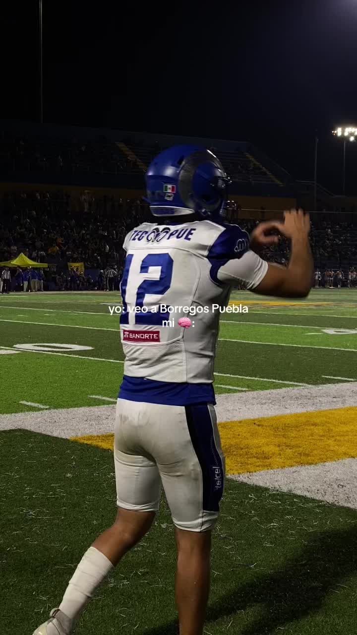 Video post by @borregostec on TikTok