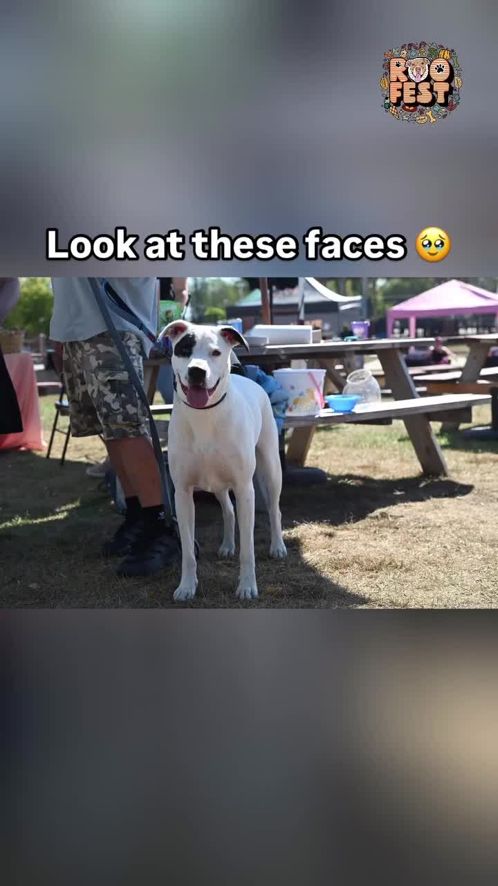 Video post by @livelikeroofoundation on TikTok