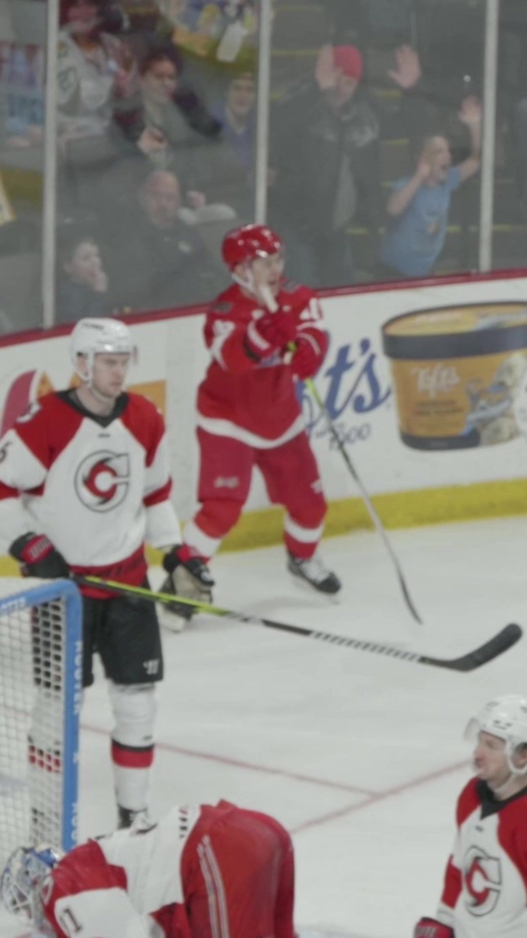 Video post by @toledo_walleye on TikTok