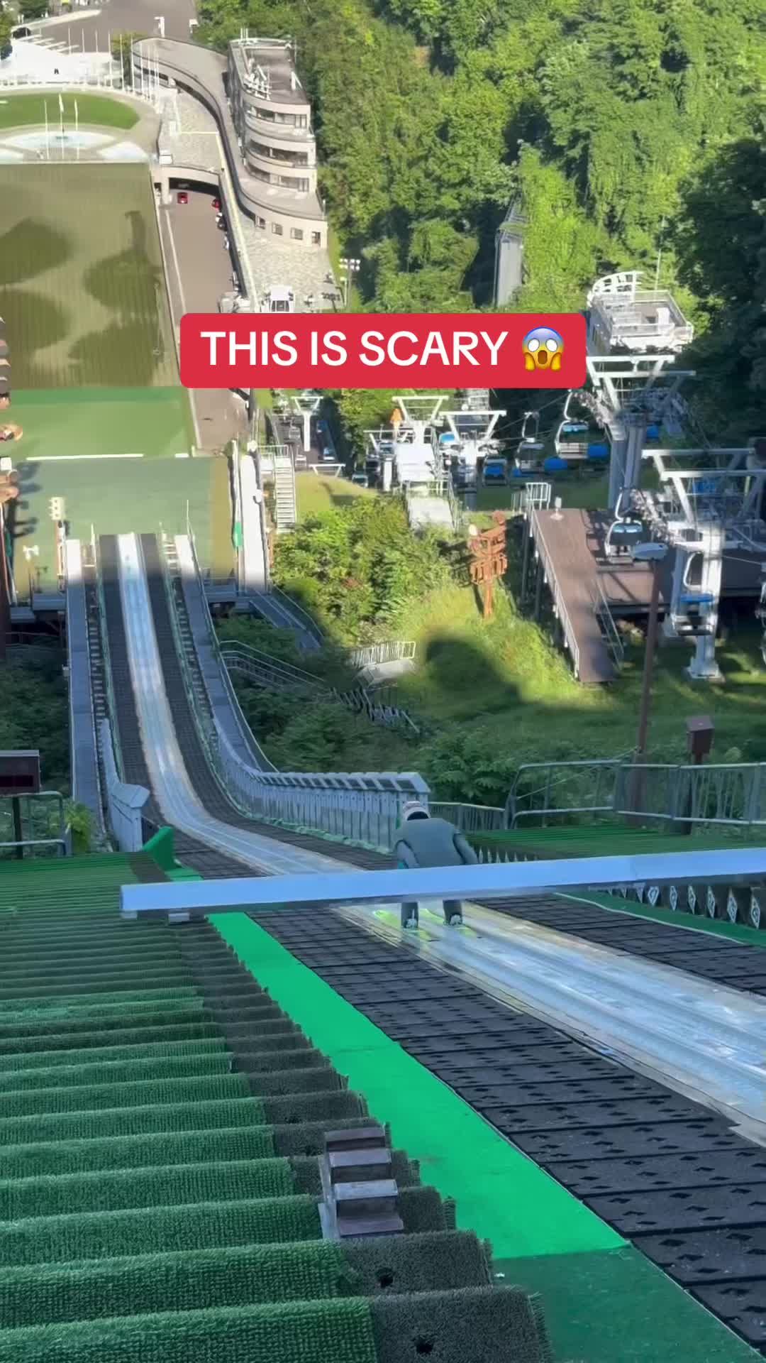 Video post by @whistle on TikTok