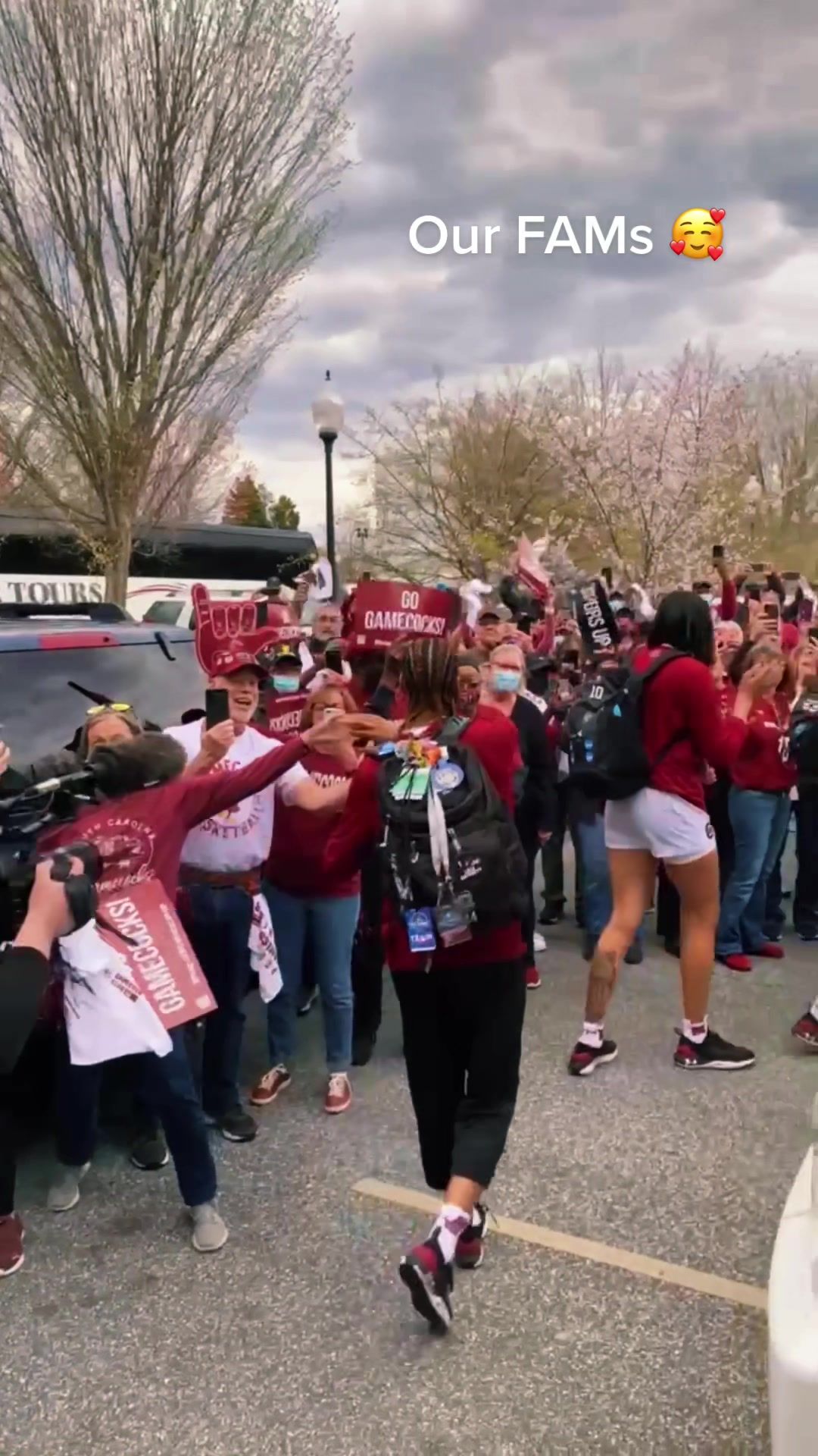 Video post by @gamecockwbb on TikTok