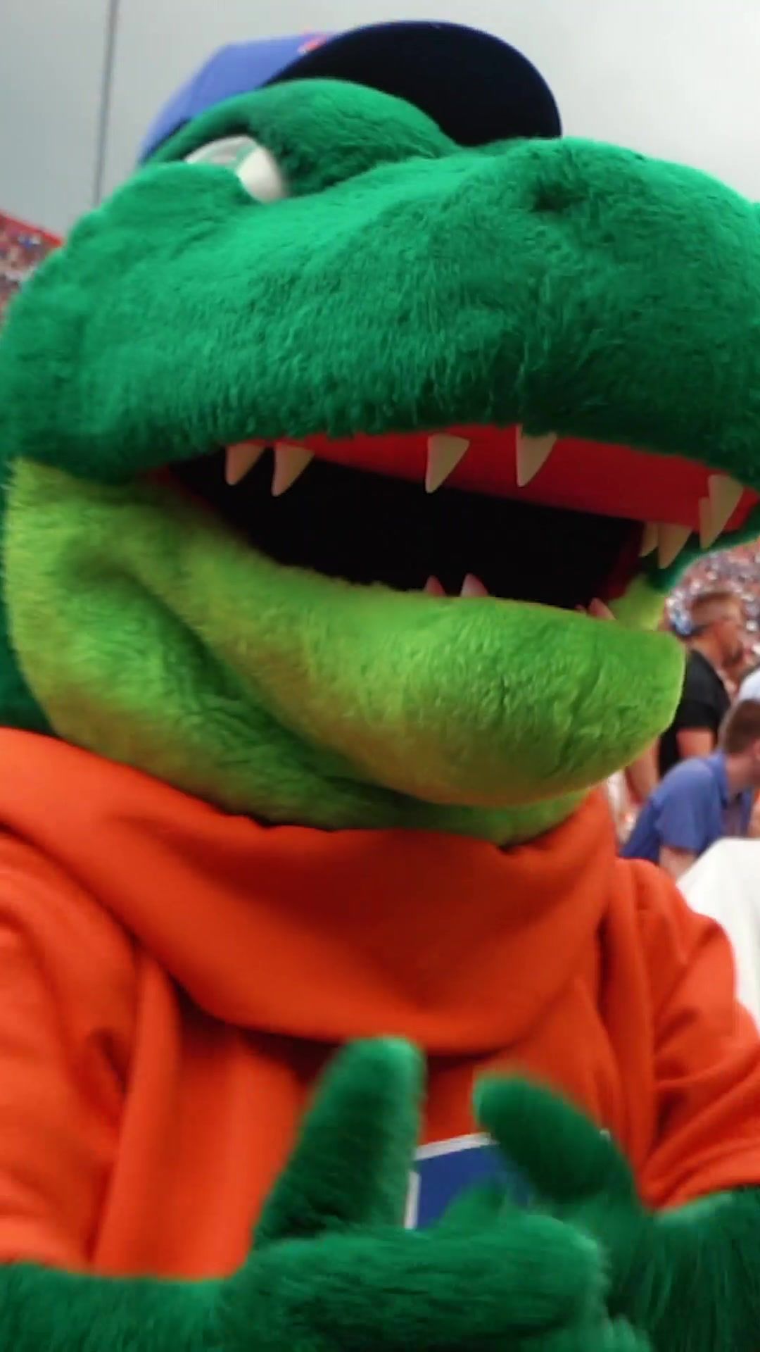 Video post by @floridagators on TikTok