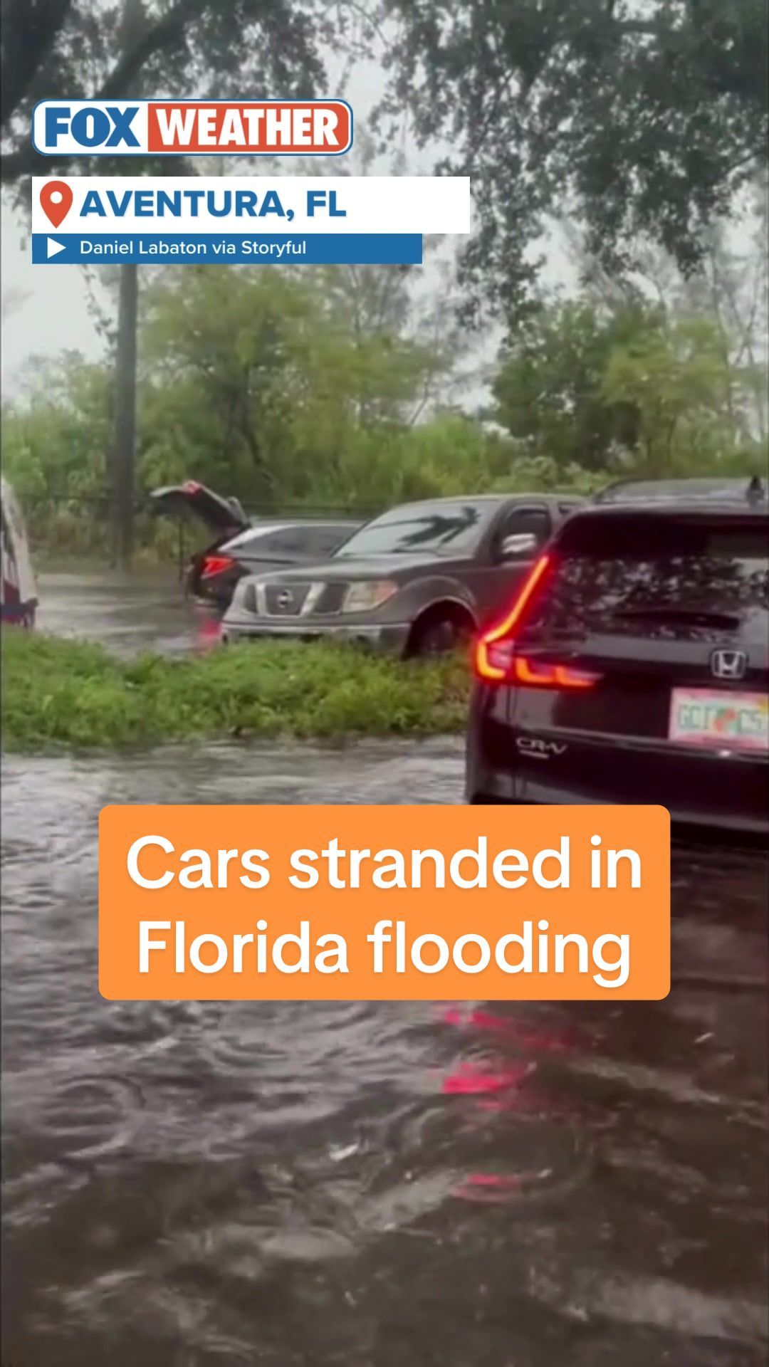 Video post by @foxweather on TikTok